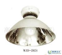 供应优质无极灯及各类照明灯具，加油站专用无极灯量大价优