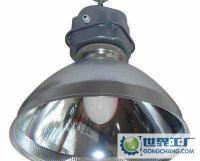 大投光铝罩系列一体式无极灯 高效节能的室外照明解决方案